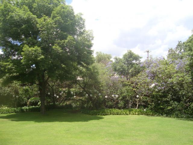 JARDIN_AGUA_%282%29.JPG